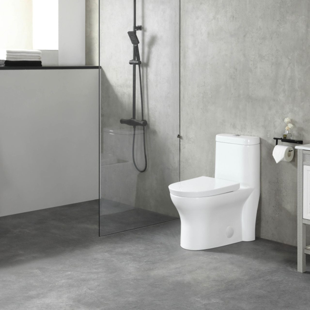 FISHER EcoMax™ Dual Flush Toilet in Metro White